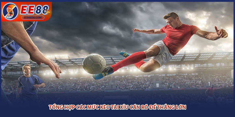 Tổng hợp các mức kèo tài xỉu cần rõ để thắng lớn